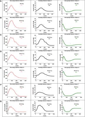 A glucose-insulin-glucagon coupled model of the isoglycemic intravenous glucose infusion experiment